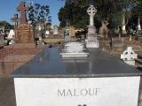image of grave number 259876